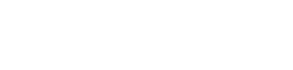Polestar - GuidiCar Srl