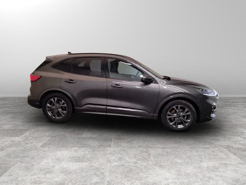 GuidiCar - FORD Kuga 2021 Kuga 1.5 ecoblue ST-Line X 2wd 120cv auto Usato